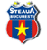 steaua.gif